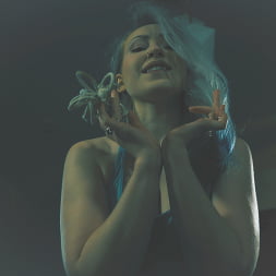 Tina Lee Comet に 'Kink Partners' 逸脱したほのめかし (サムネイル 2)