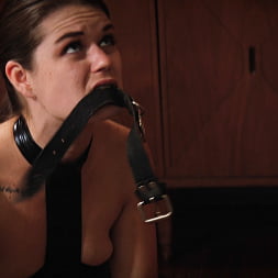 Tina Lee Comet en 'Kink Partners' La apuesta perdida (Miniatura 3)