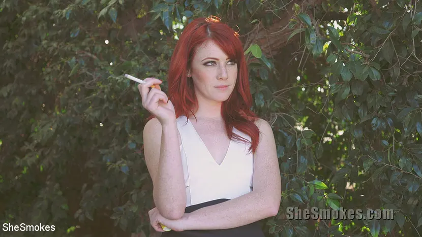 Kink Partners '彼女は4を吸う' 主演 Vixon (写真 5)